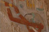 L'ibis, le nnuphar et le papyrus
